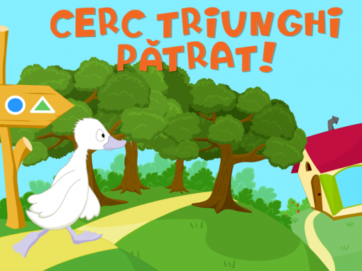 Cerc Triunghi Pătrat