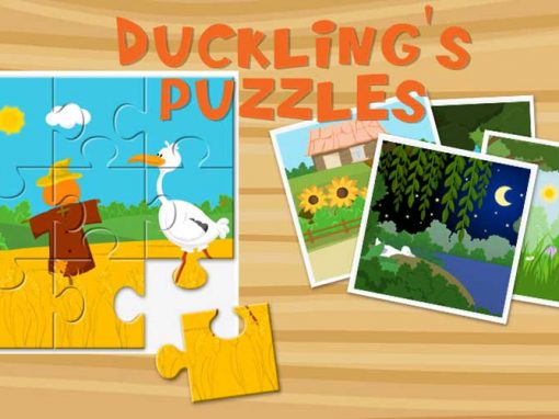 Duckling’s Puzzle